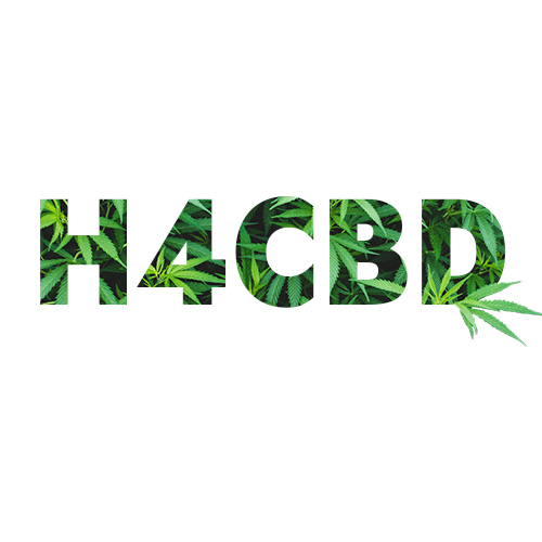 🧠 H4CBD + CBN