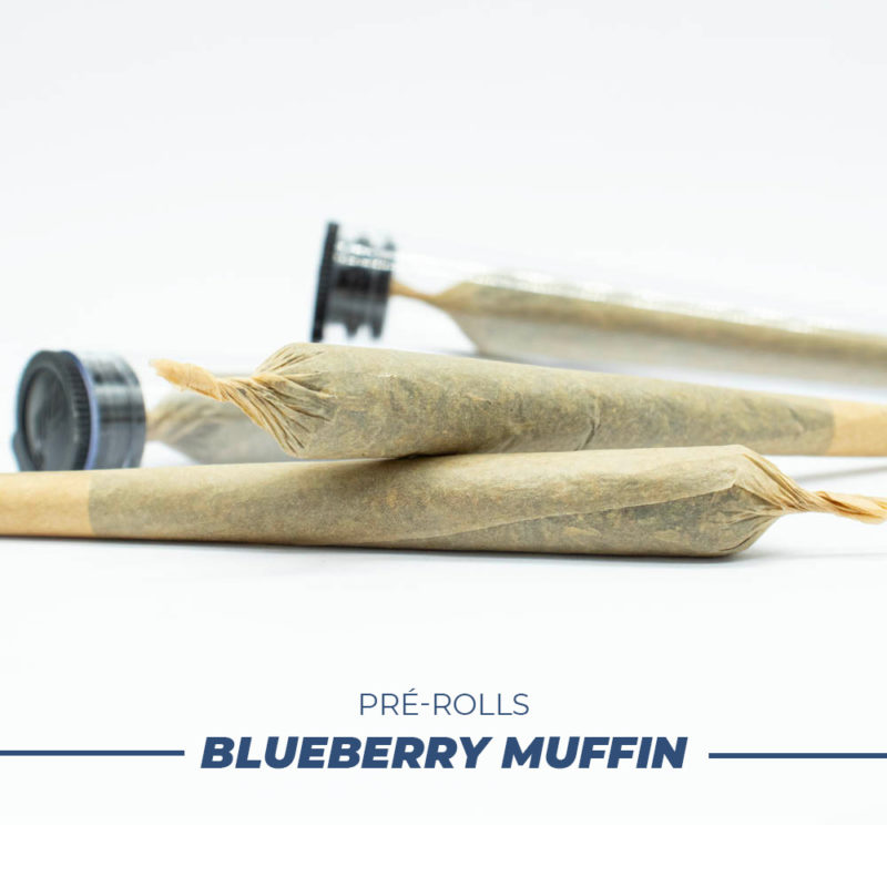prerolls blueberry muffin GE