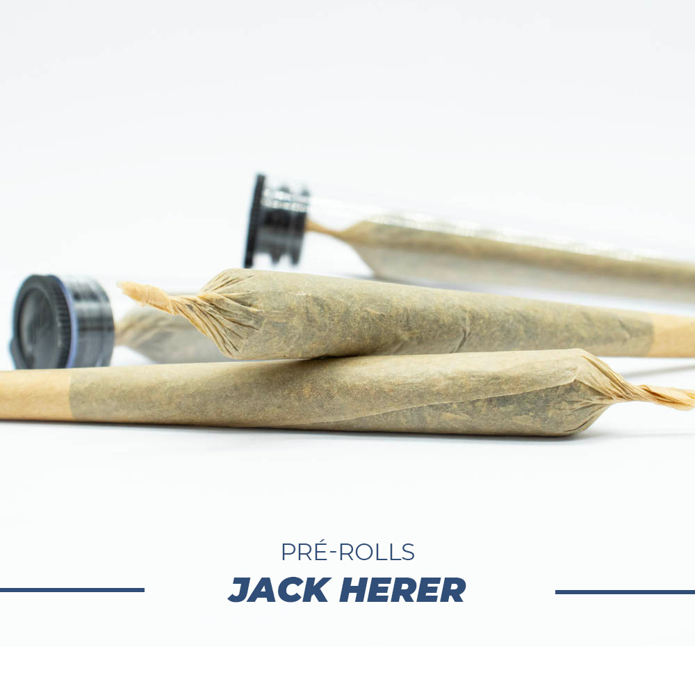 prerolls jack herer ge