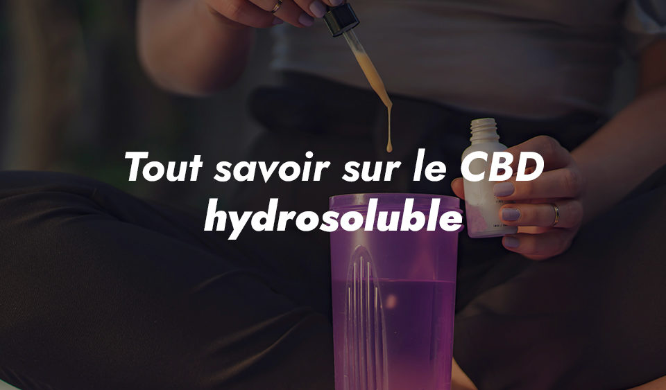 cbd hydrosoluble