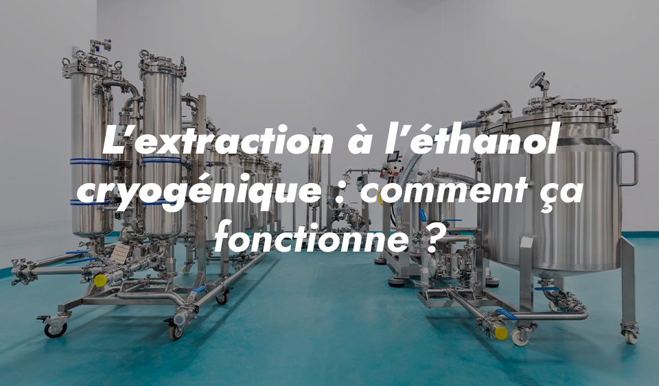 extração criogénica de etanol de cannabis