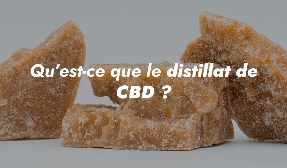 What is CBD distillate?